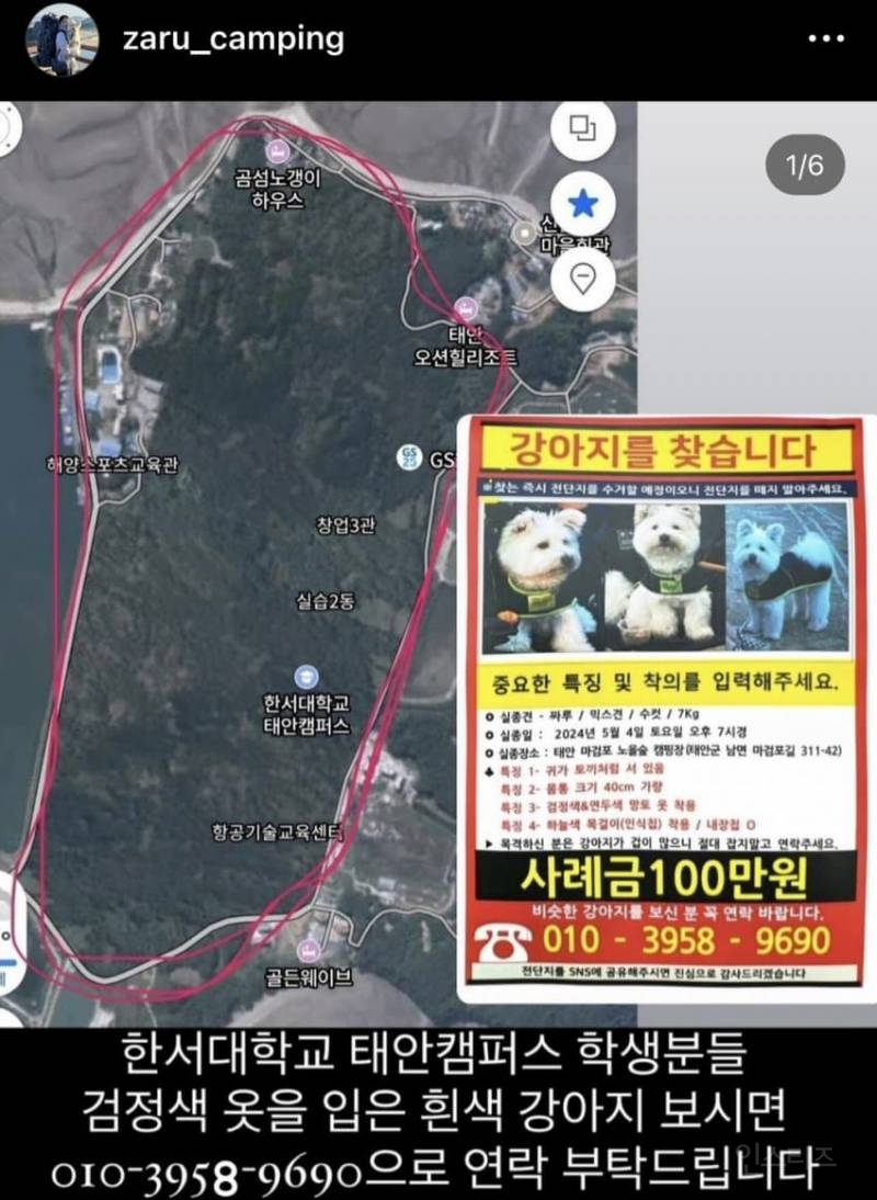 강아지 유튜버 개 잃어버렸는데 "그럴 줄 알았다" 반응 싸늘 | 인스티즈