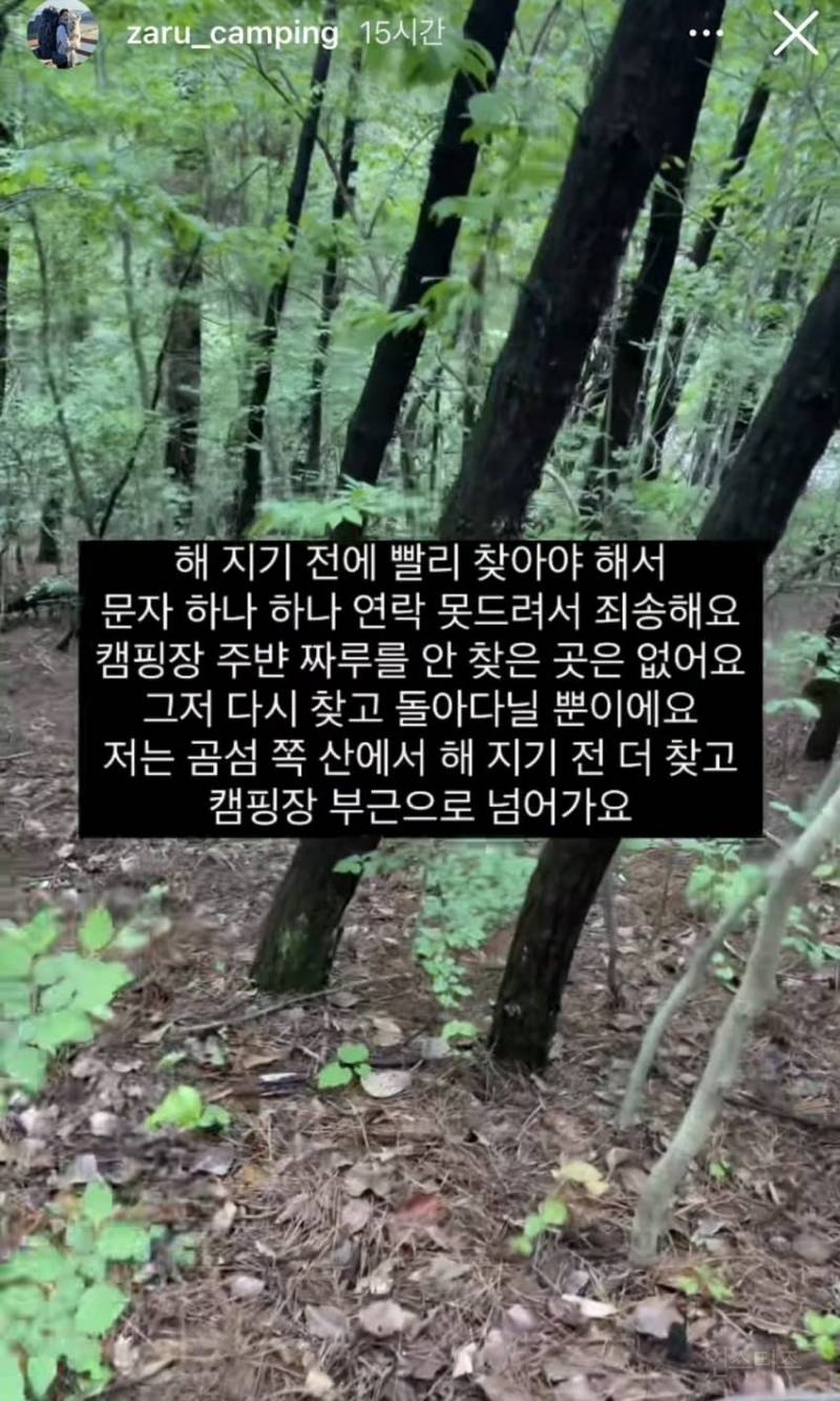 강아지 유튜버 개 잃어버렸는데 "그럴 줄 알았다" 반응 싸늘 | 인스티즈
