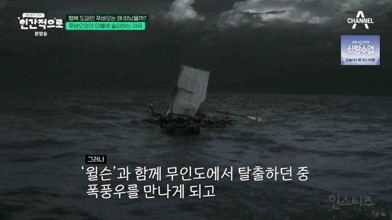 이동진: "푸바오에 슬퍼하는 사람들을 함부로 폄하해서는 안된다" | 인스티즈