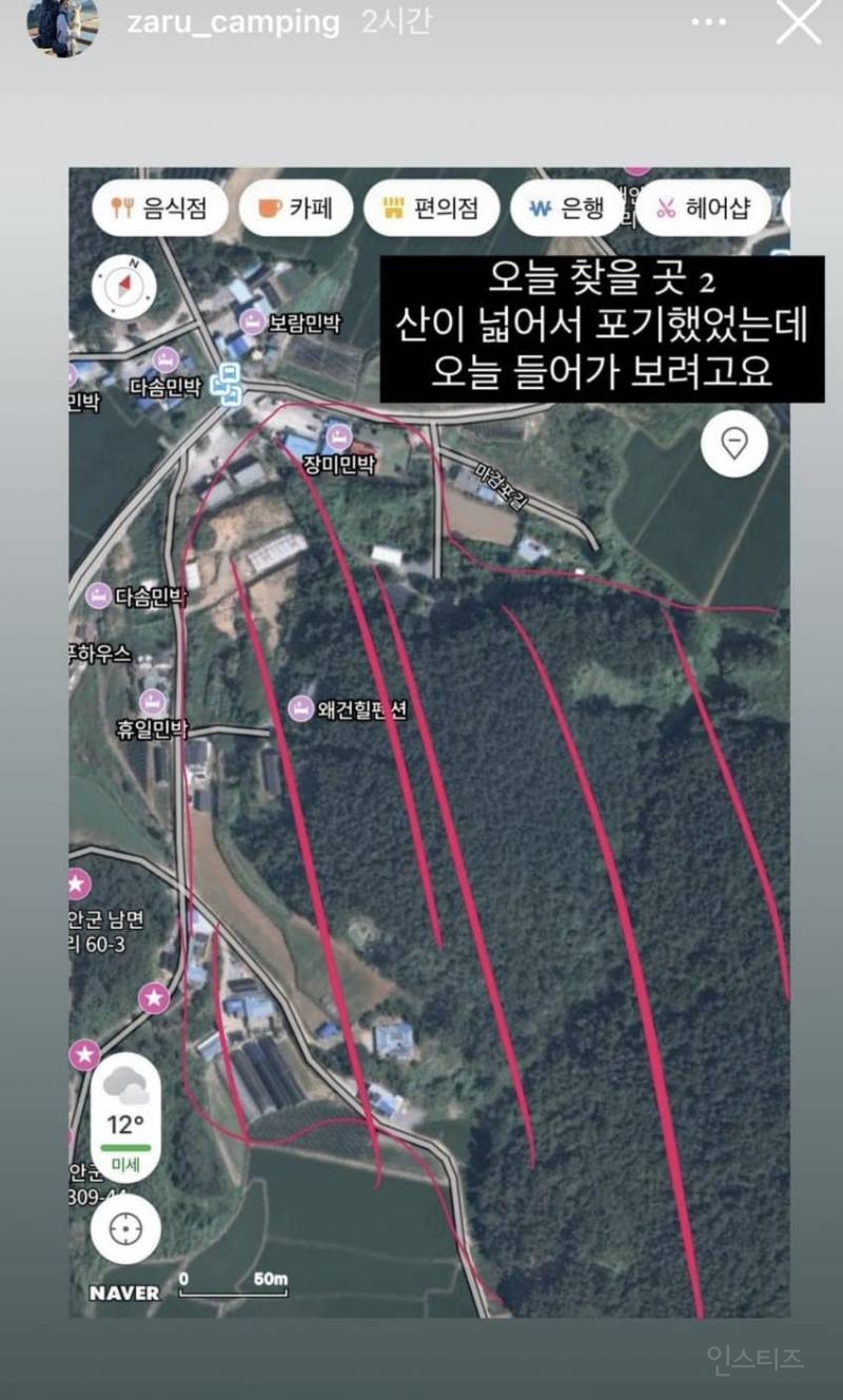 강아지 유튜버 개 잃어버렸는데 "그럴 줄 알았다" 반응 싸늘 | 인스티즈