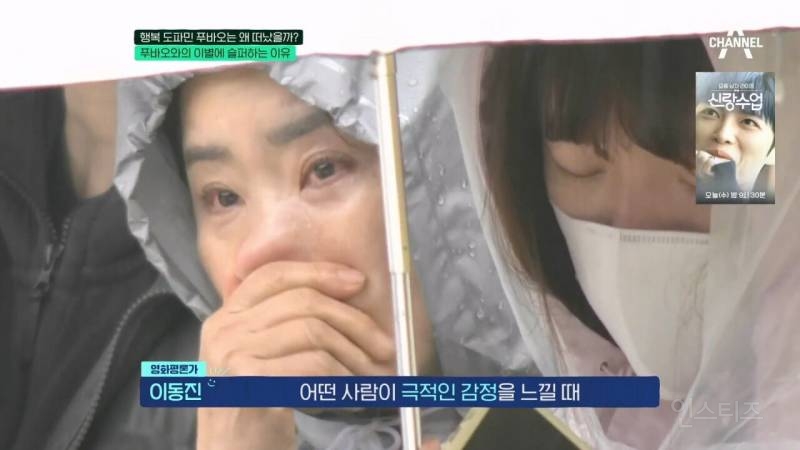 이동진: "푸바오에 슬퍼하는 사람들을 함부로 폄하해서는 안된다" | 인스티즈
