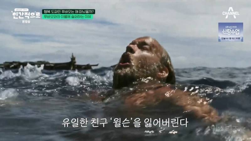 이동진: "푸바오에 슬퍼하는 사람들을 함부로 폄하해서는 안된다" | 인스티즈