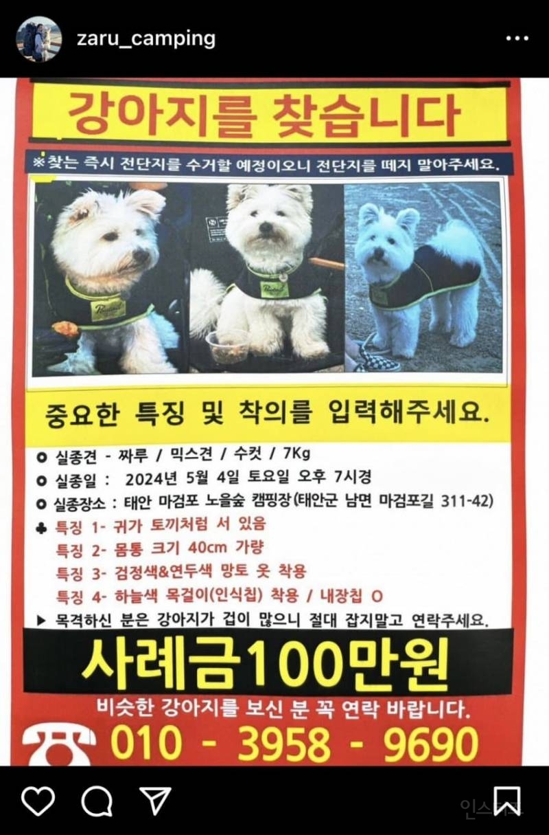 강아지 유튜버 개 잃어버렸는데 "그럴 줄 알았다" 반응 싸늘 | 인스티즈