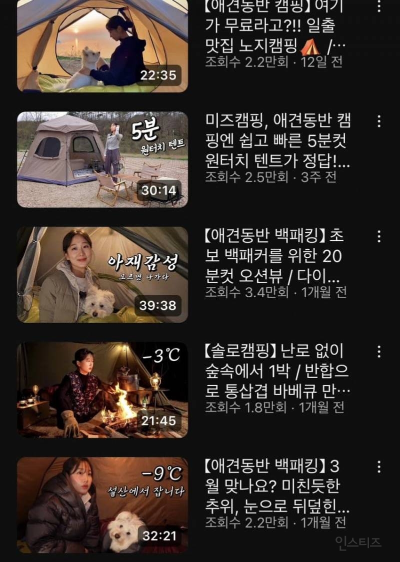 강아지 유튜버 개 잃어버렸는데 "그럴 줄 알았다" 반응 싸늘 | 인스티즈