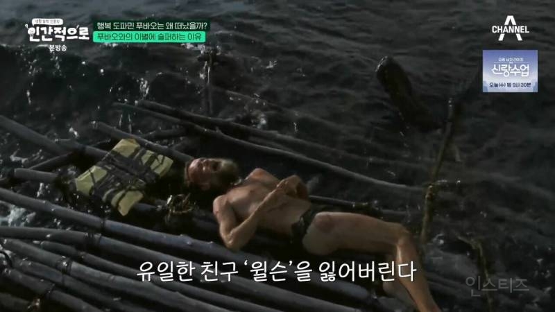 이동진: "푸바오에 슬퍼하는 사람들을 함부로 폄하해서는 안된다" | 인스티즈