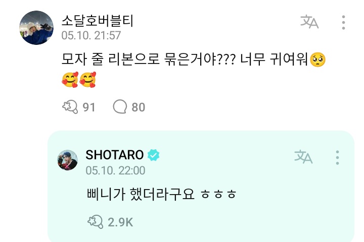 [잡담] 타로랑 원빈이 이건 진짜 집사랑 고양이잖아ㅋㅋㅋㅋㅋㅋㅋ | 인스티즈