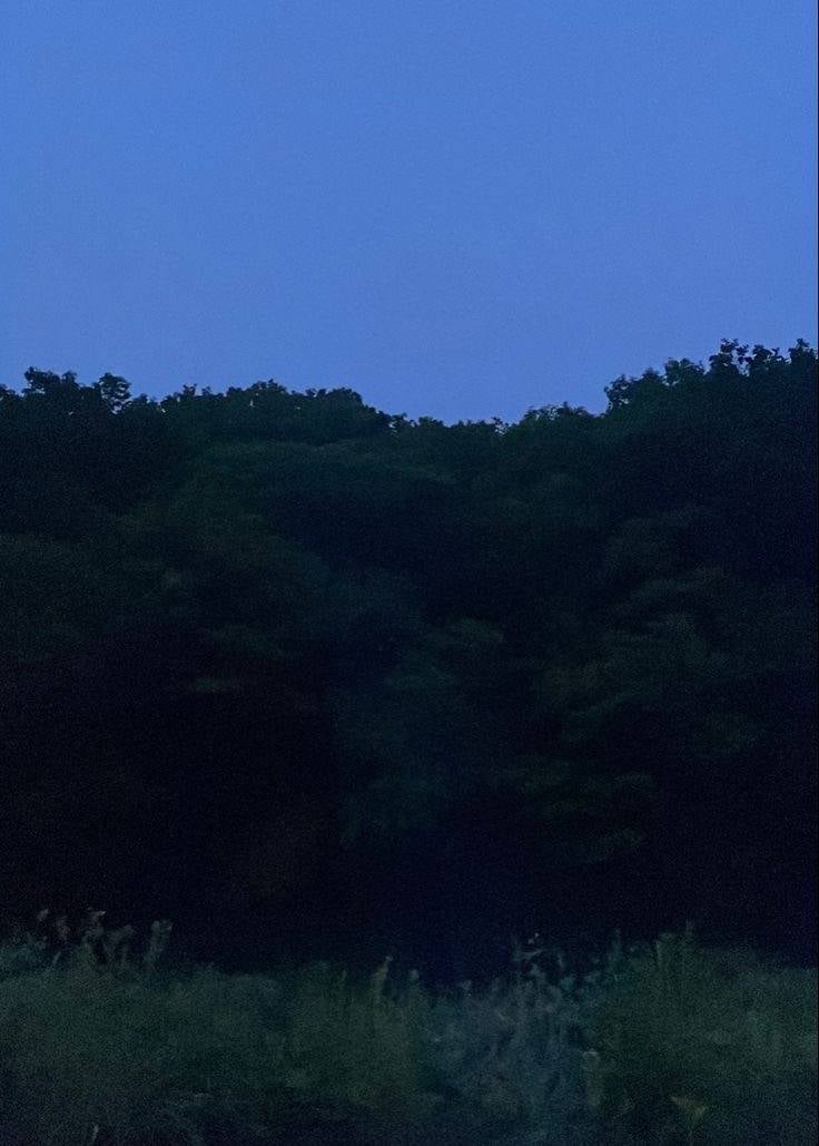 [잡담] 밤에 유독 예뻐보이는 사람 있어? ㅋㅋ큐ㅠㅠㅠㅠ | 인스티즈