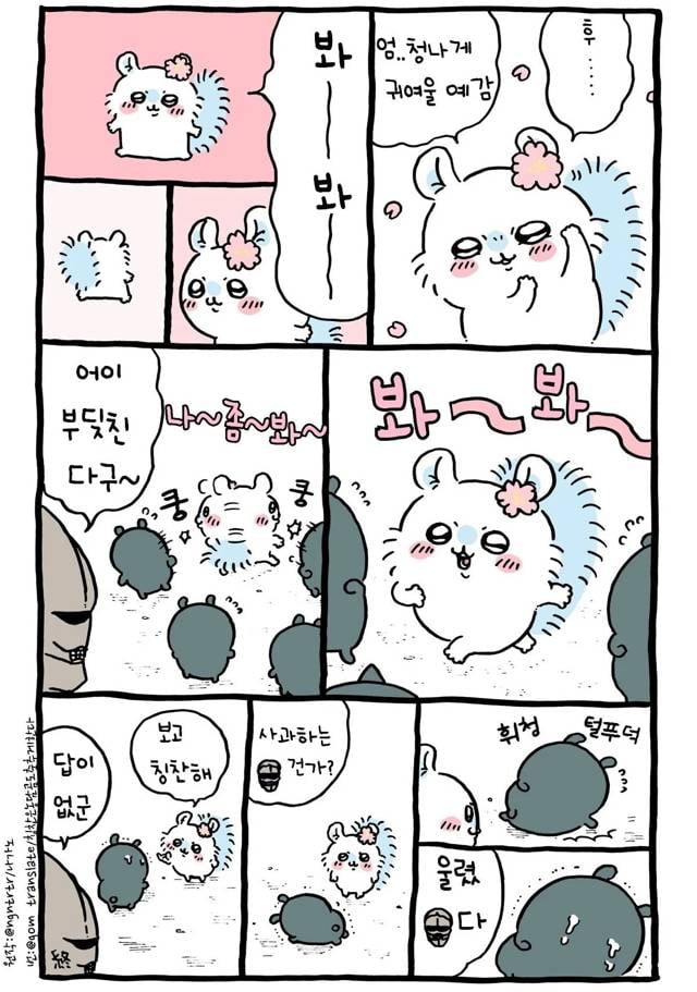 [잡담] 먼작귀 치이카와 빨리 연재 끝났으면 좋겠어 | 인스티즈