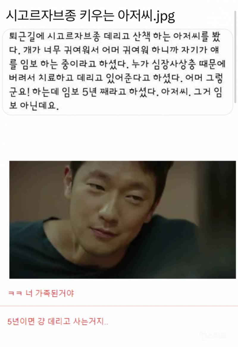 시고르자브종 임보중인 아저씨..jpg | 인스티즈