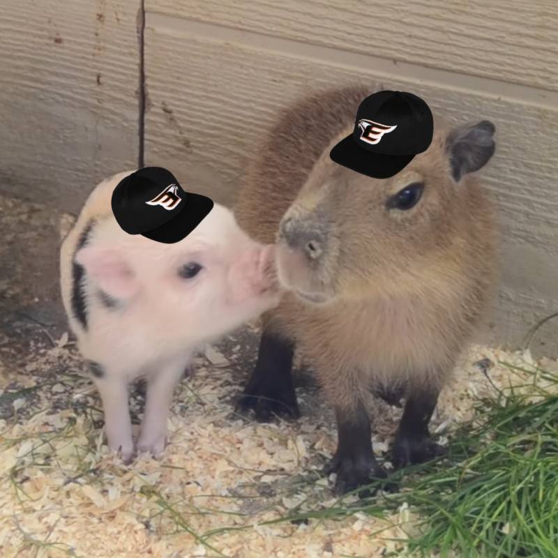 [잡담] 때지와 치홍바라 | 인스티즈
