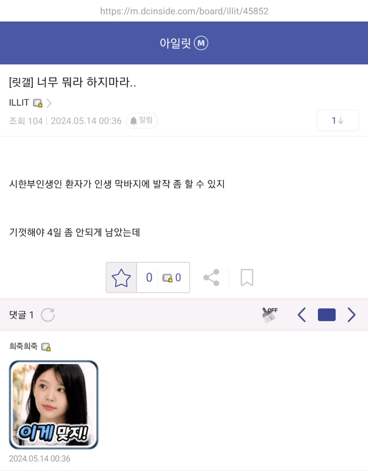 [마플] 아일릿 찐팬들이 모인 아일릿 마이너갤러리 근황 | 인스티즈