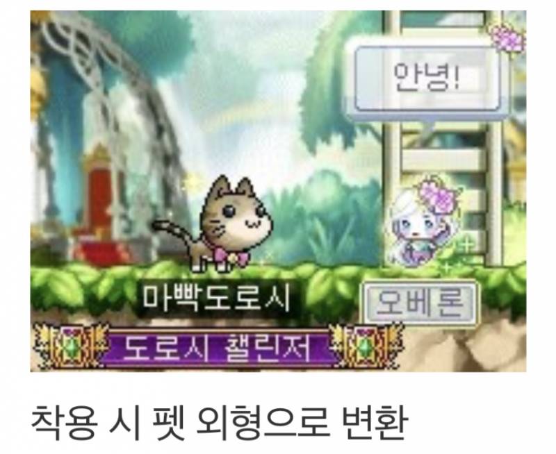 [잡담] 일루전링 살거야?? (캐릭이 펫 외형으로 변해) 1122 | 인스티즈