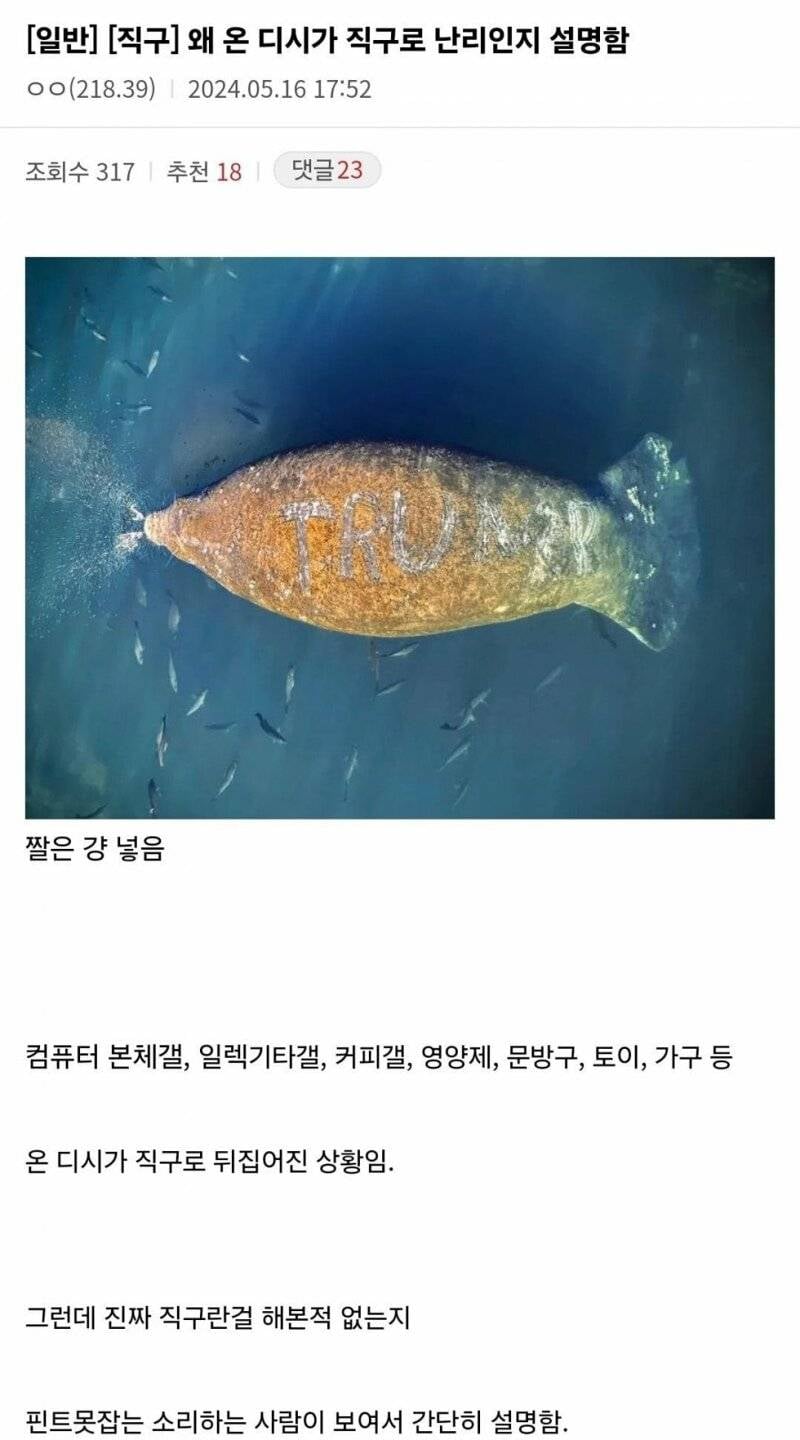 왜 온 디시가 직구로 난리인지 설명함.jpg | 인스티즈