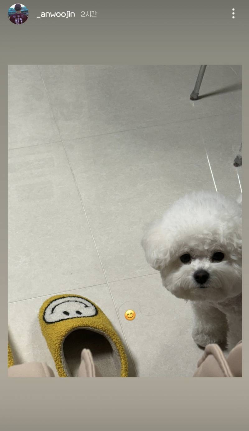 [잡담] 2연승과 함께온 안밀리 생존신고 | 인스티즈
