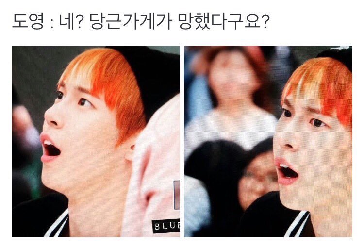 [잡담] 타팬이 보는 도영과 팬이 보는 도영 | 인스티즈