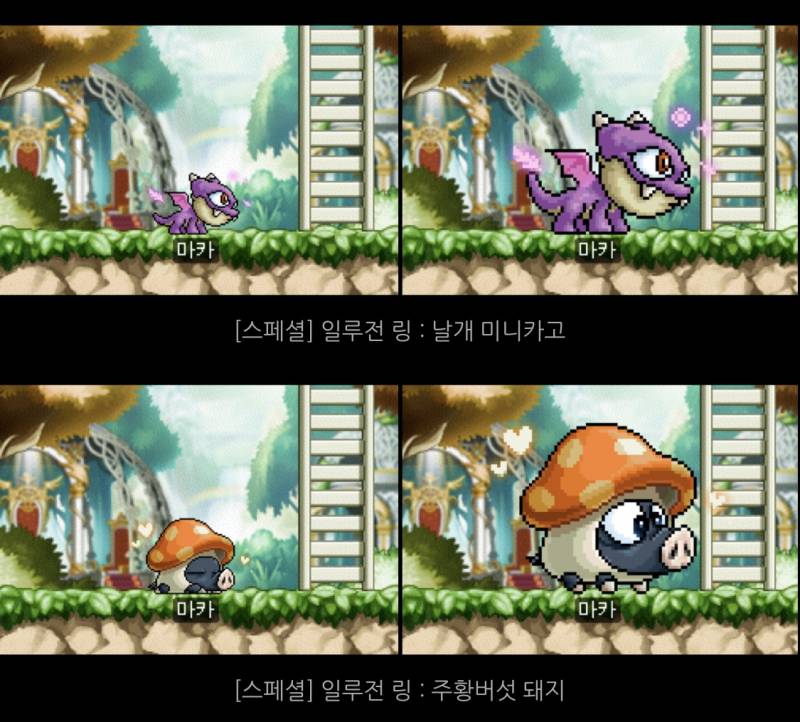 [잡담] 일루전링 (펫 외형 반지) 뭐가 제일 마음에 들어?? | 인스티즈