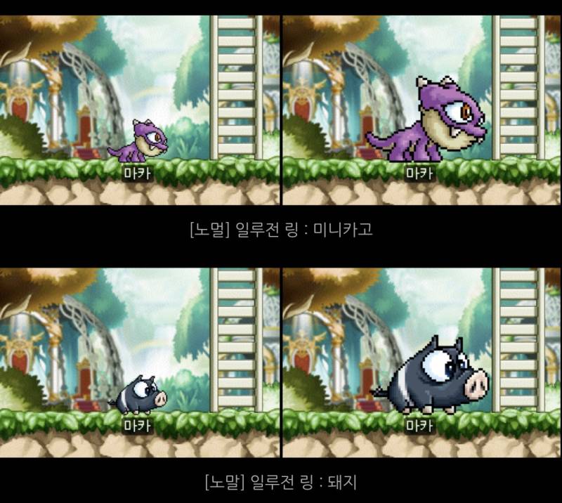 [잡담] 일루전링 (펫 외형 반지) 뭐가 제일 마음에 들어?? | 인스티즈