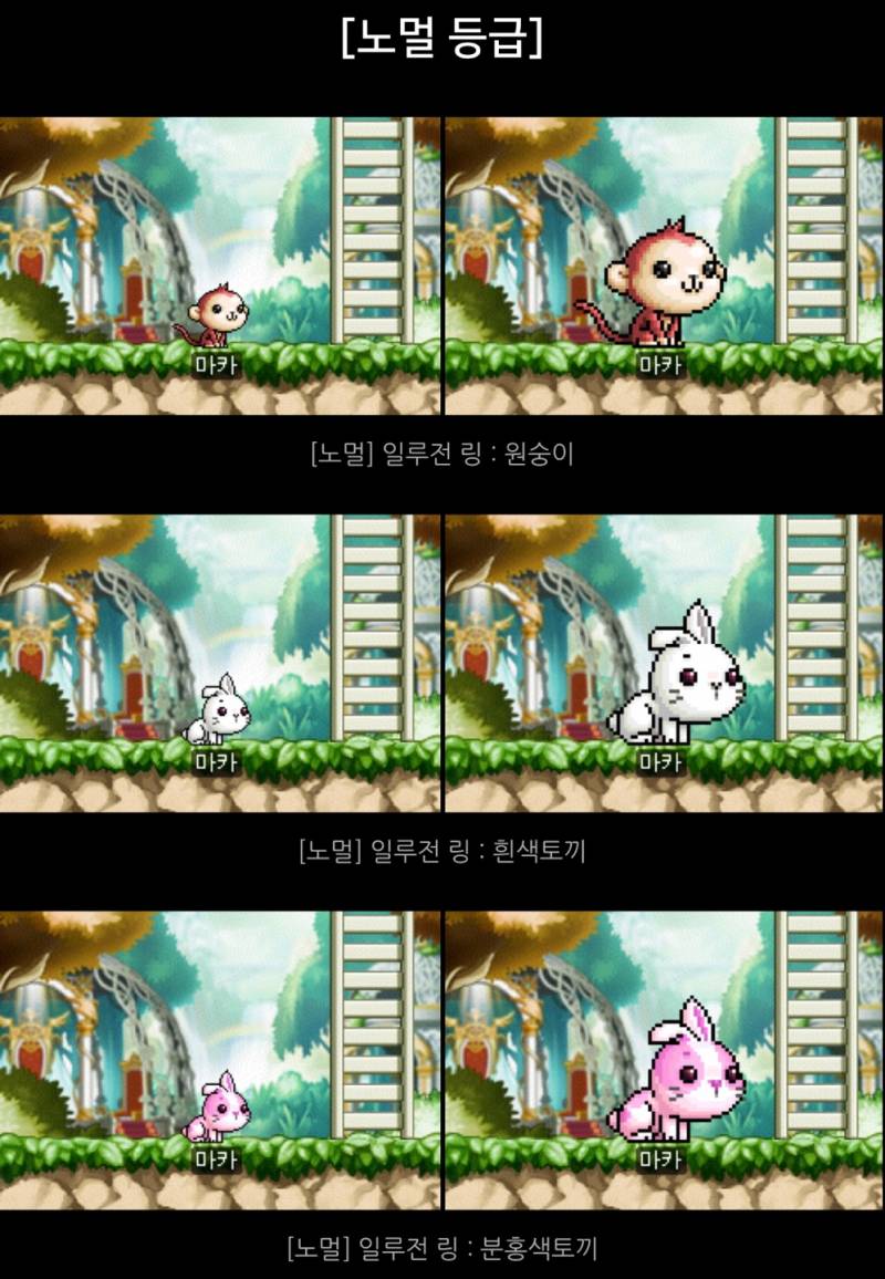 [잡담] 일루전링 (펫 외형 반지) 뭐가 제일 마음에 들어?? | 인스티즈