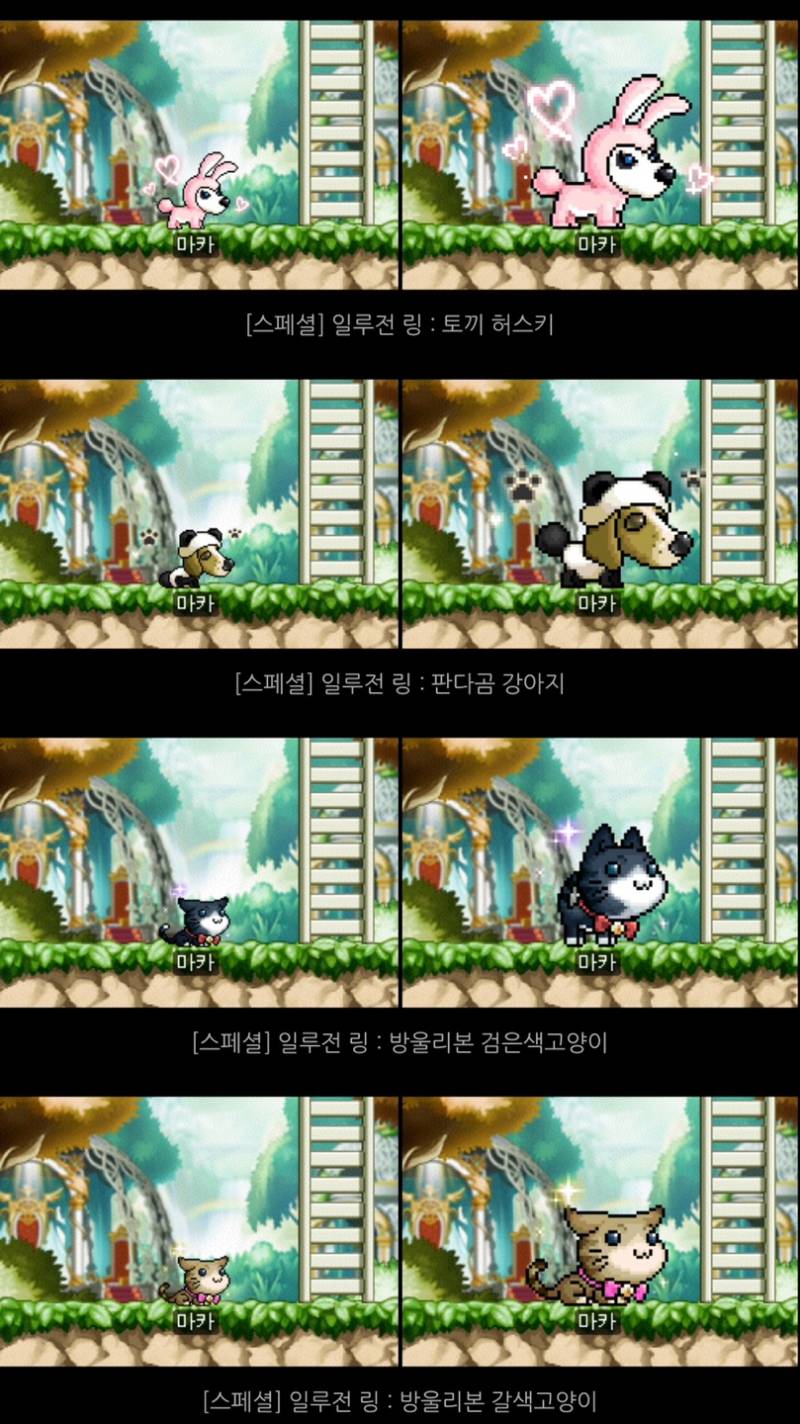 [잡담] 일루전링 (펫 외형 반지) 뭐가 제일 마음에 들어?? | 인스티즈