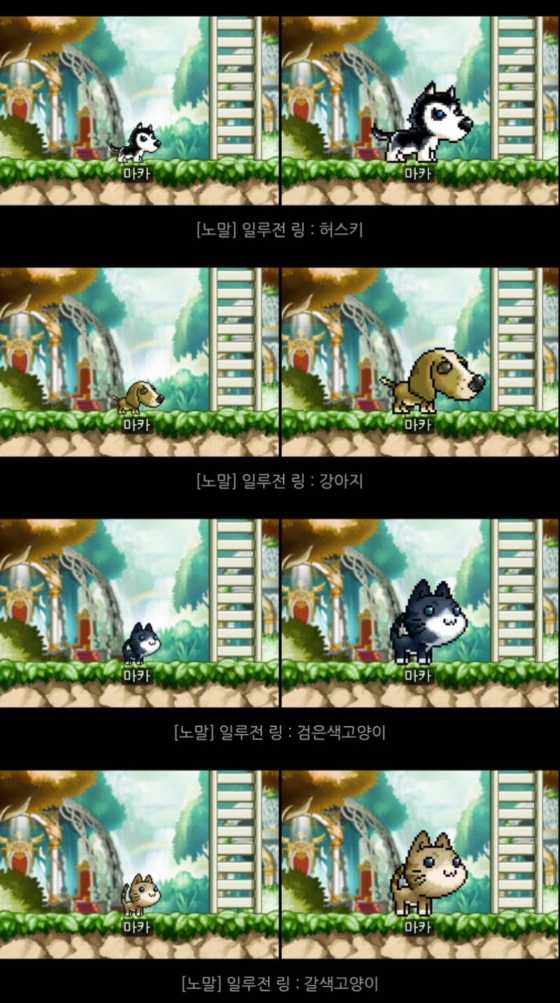 [잡담] 일루전링 (펫 외형 반지) 뭐가 제일 마음에 들어?? | 인스티즈