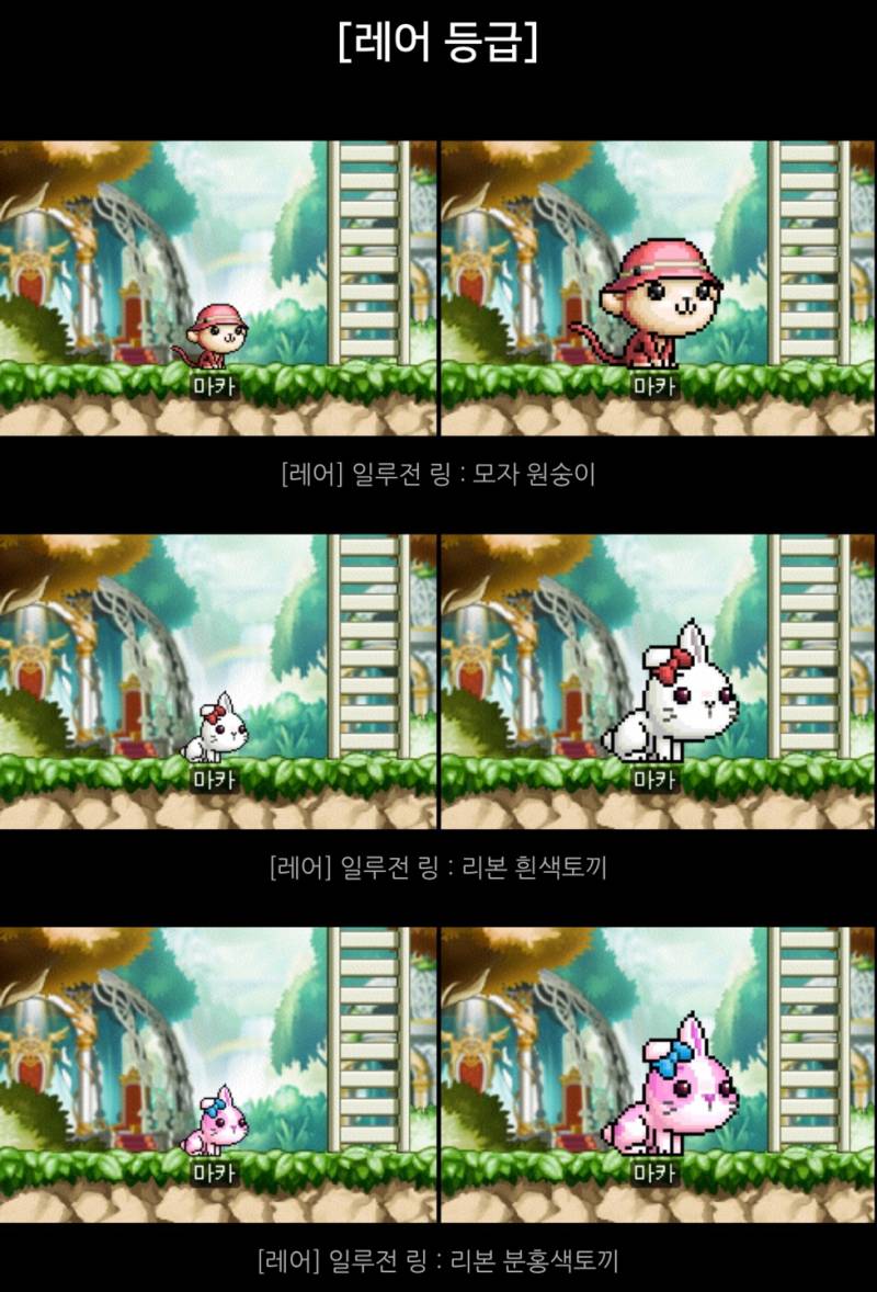 [잡담] 일루전링 (펫 외형 반지) 뭐가 제일 마음에 들어?? | 인스티즈