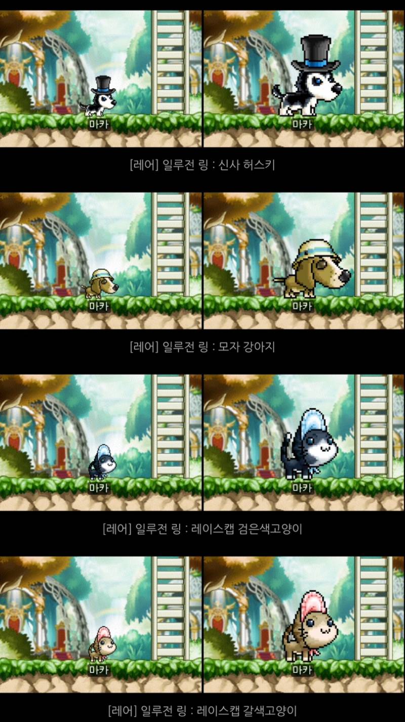 [잡담] 일루전링 (펫 외형 반지) 뭐가 제일 마음에 들어?? | 인스티즈