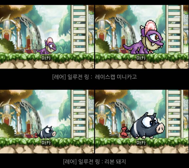 [잡담] 일루전링 (펫 외형 반지) 뭐가 제일 마음에 들어?? | 인스티즈