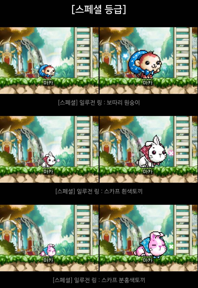 [잡담] 일루전링 (펫 외형 반지) 뭐가 제일 마음에 들어?? | 인스티즈