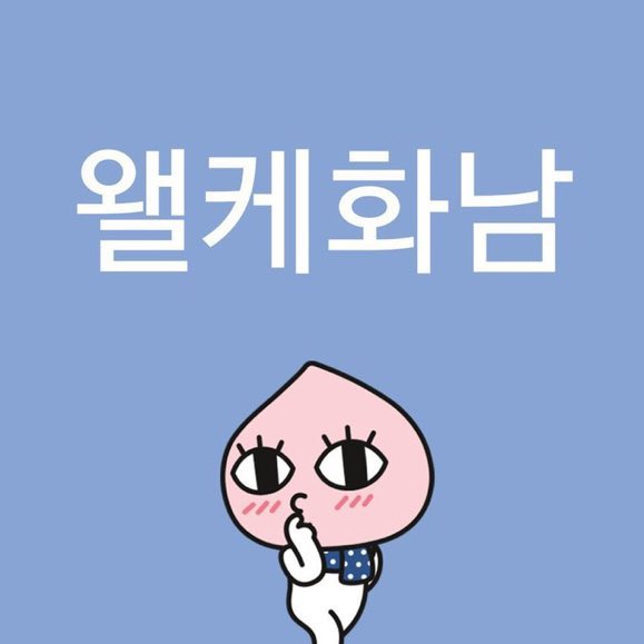 [잡담] 왤케화남 이 밈 걍 한국에서 평생 유행했으면 좋겠음 | 인스티즈