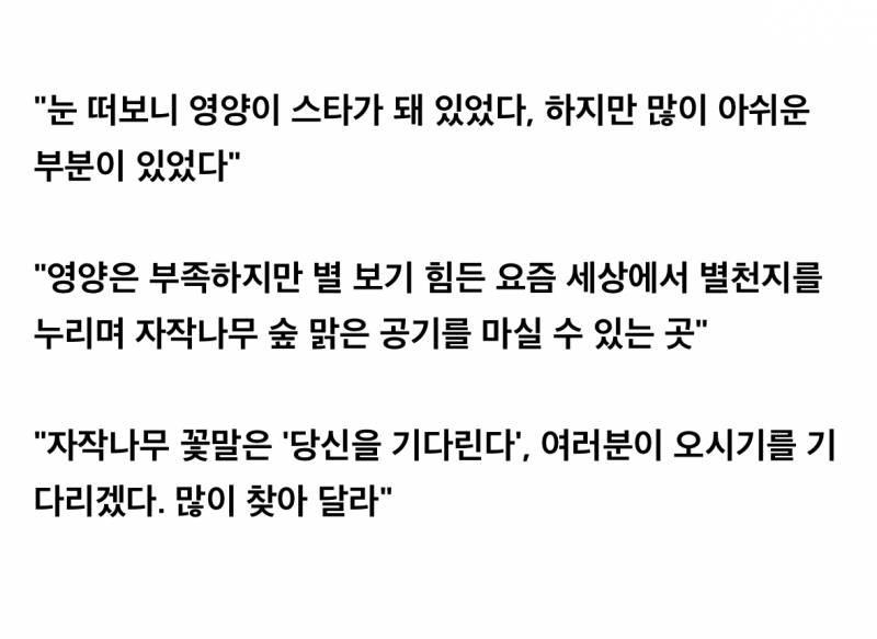 피식대학 지역비하 논란에 영양군수 입장.JPG | 인스티즈