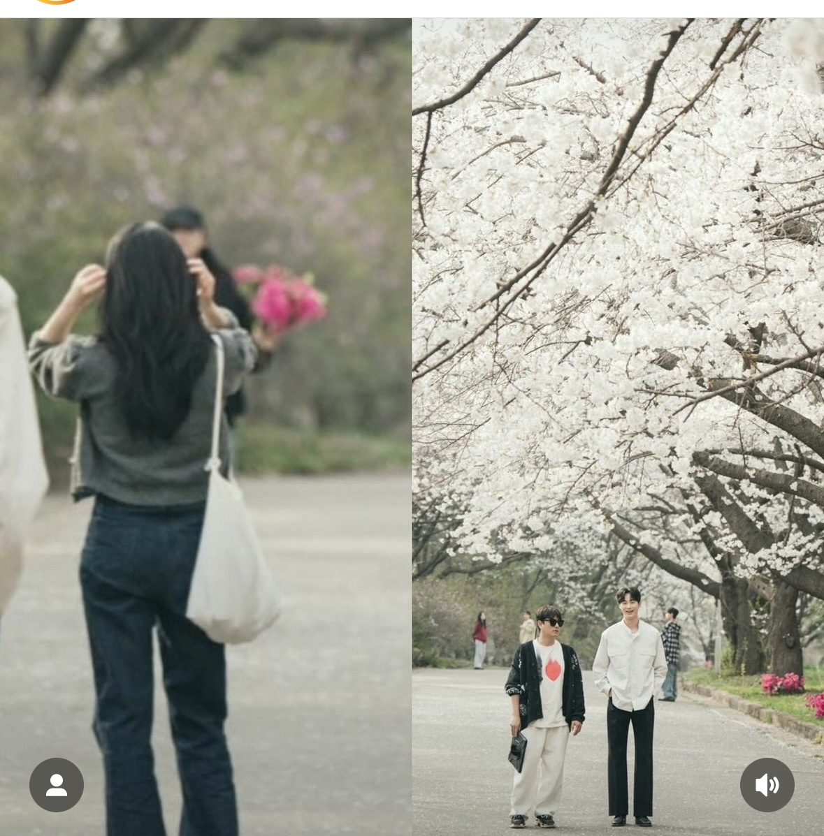 [잡담] 나 사실 이것도 주움.. ㅅㅍㅈㅇ | 인스티즈