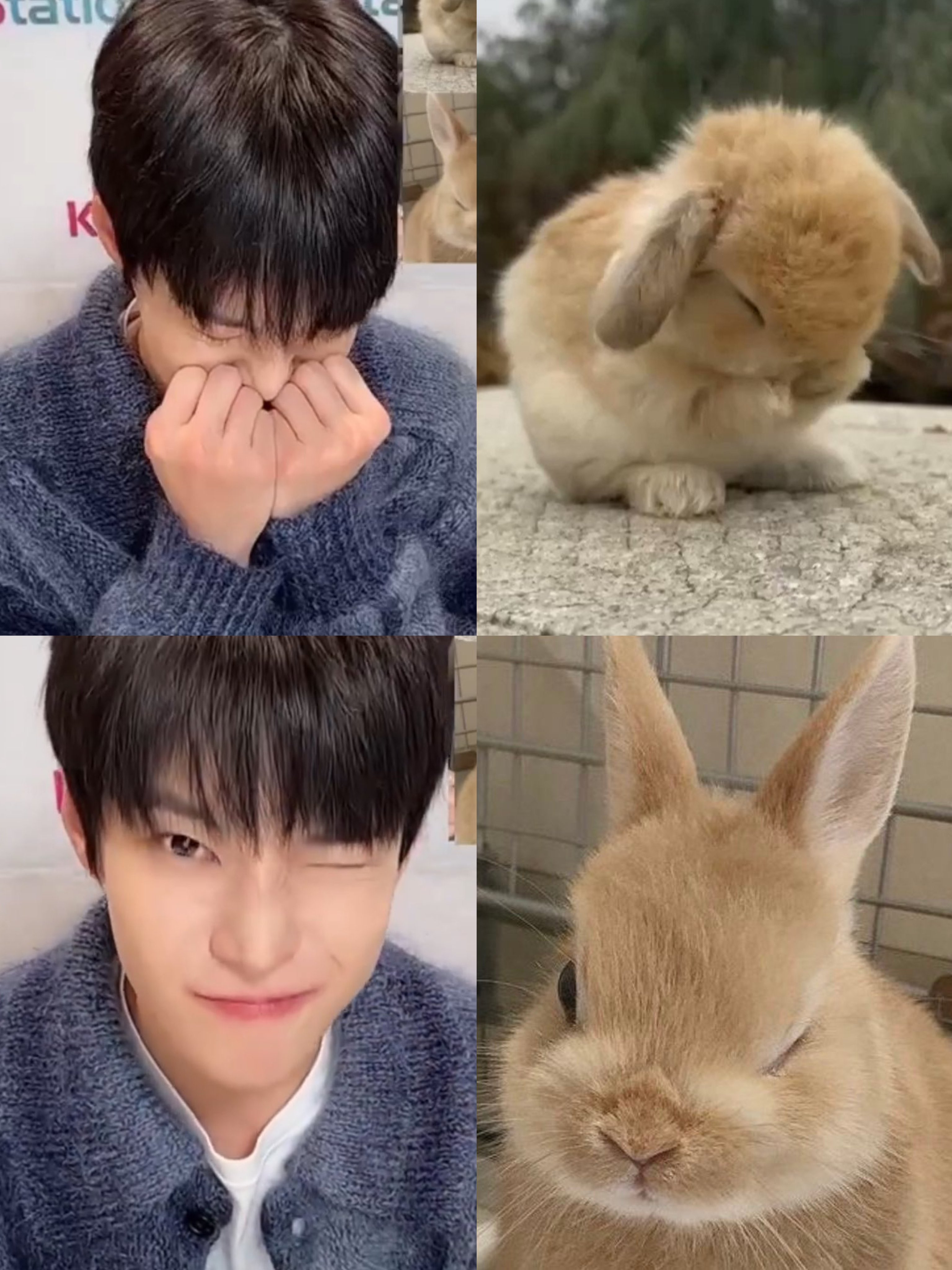 [잡담] 타팬이 보는 도영과 팬이 보는 도영 | 인스티즈