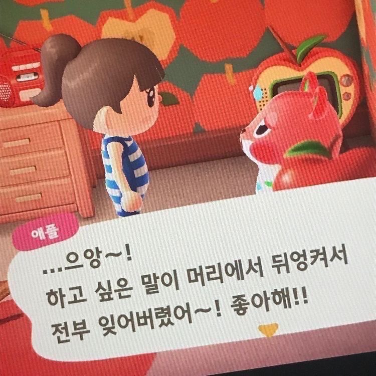 [잡담] 리쿠 버블 요즘 너무 재밌다 | 인스티즈