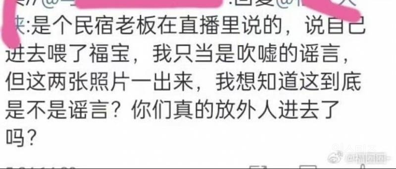 중국에서 접객 의심되는 상황인 푸바오 | 인스티즈
