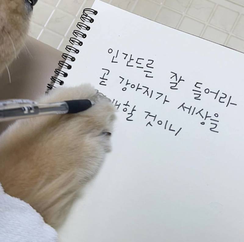 [잡담] 극이살 랜더스 기어올라가자 | 인스티즈