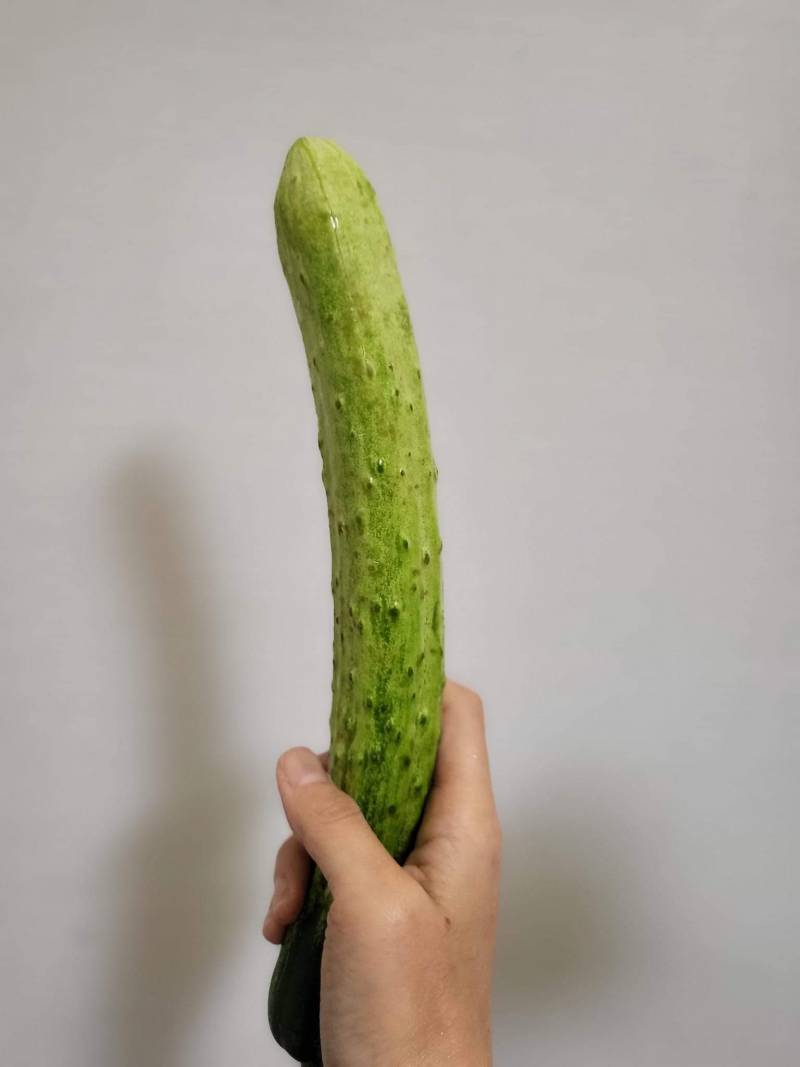 [잡담] 친구가 이거보고 야하대.. | 인스티즈