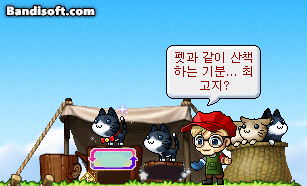 [잡담] 고양이의일상 | 인스티즈