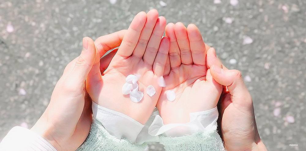 [잡담] 선업튀 움짤계 아시는분 ㅜㅜㅜㅜ | 인스티즈