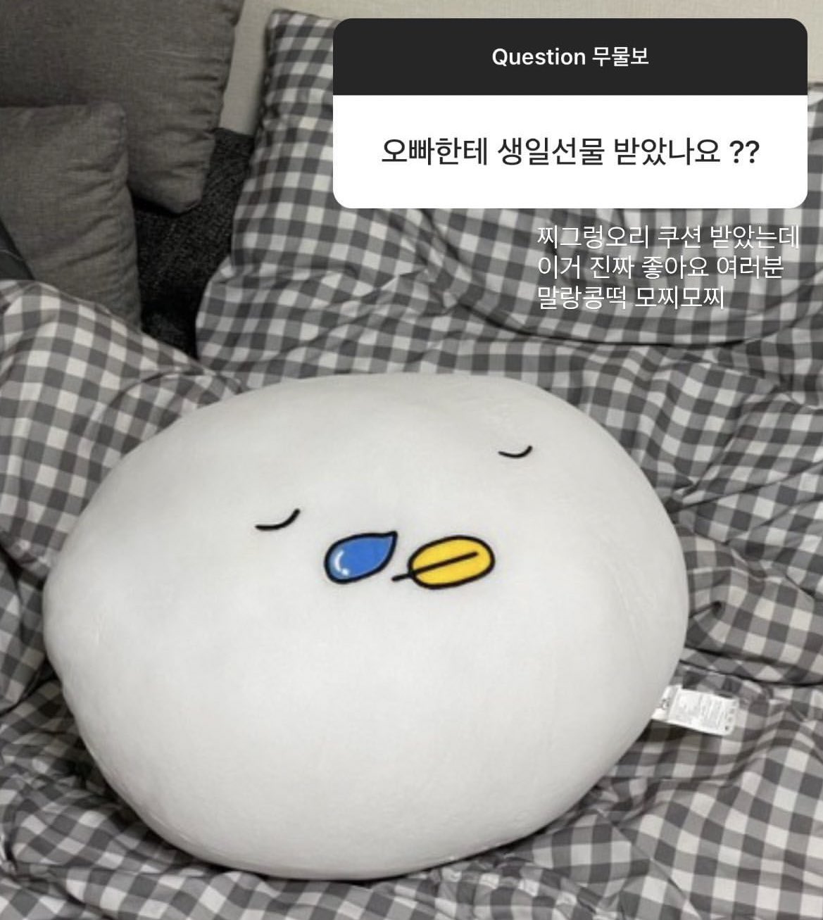 오빠는 리듬타고 동생은 벽 탄다는 등반수저 남매.jpg | 인스티즈