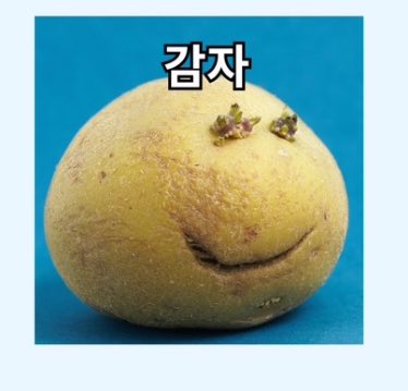 [잡담] 김이한이 본 보넥도 첫인상 현인상 마지막이 넘 강력하다 | 인스티즈