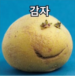 [잡담] 김이한이 본 보넥도 첫인상 현인상 마지막이 넘 강력하다 | 인스티즈