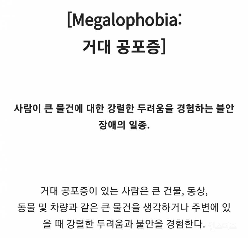 공포주의) 왠지 오금 저리는 거대공포증 사진들ㄷㄷㄷ.jpg | 인스티즈