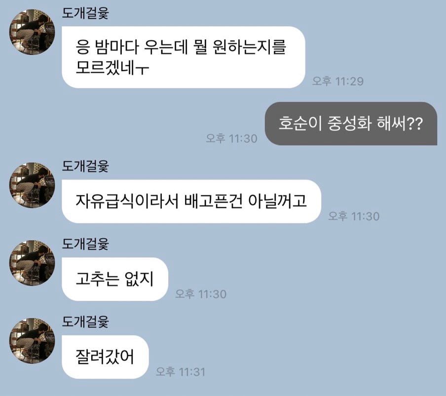 [잡담] 데이식스 도운님 유잼이신가? 팬 아닌 내가 봐도 그냥 웃긴데 | 인스티즈