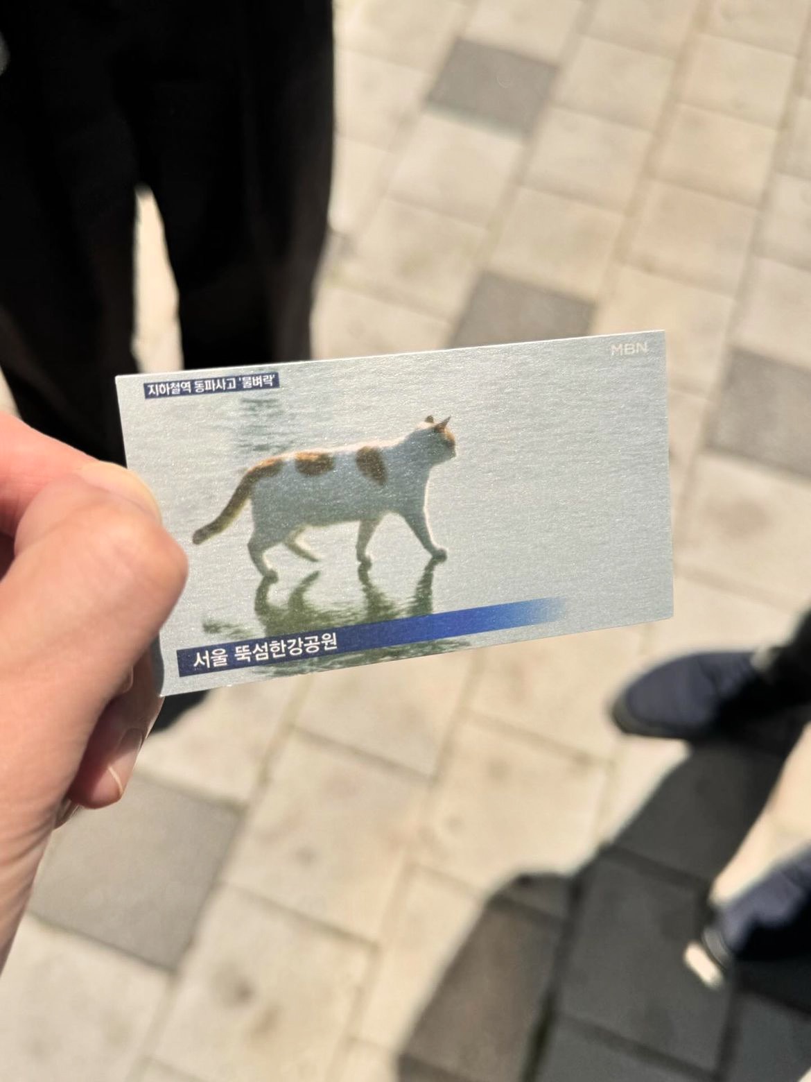 [잡담] 와 한강꽁꽁고양이 기자님 명함이래ㅠㅠㅠ | 인스티즈