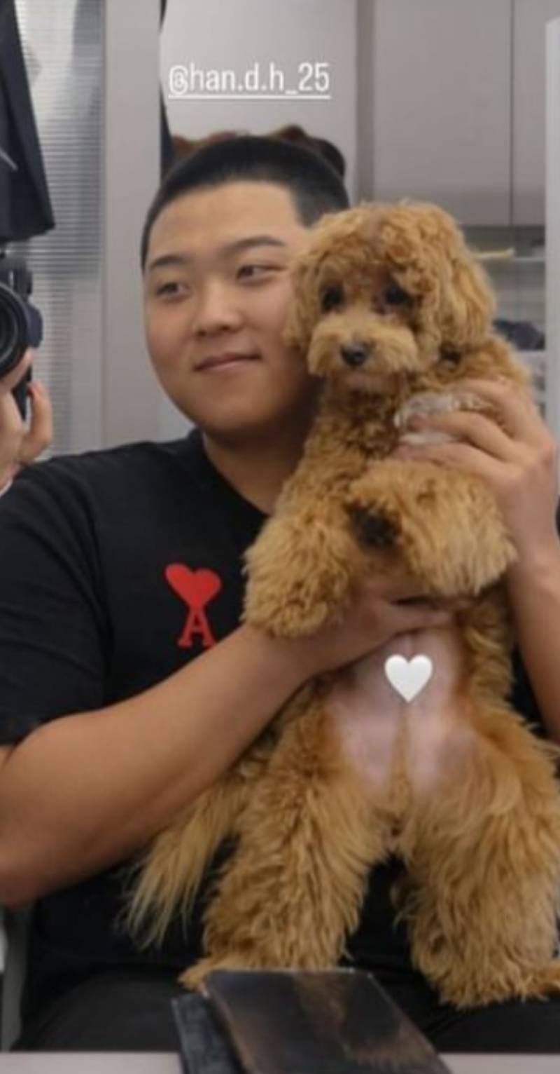[잡담] 동동히 머리 밀었네 | 인스티즈