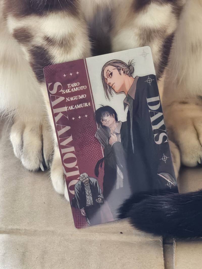 [잡담] 사카데이 웨하스카드 원하는거 뽑음❤️ | 인스티즈