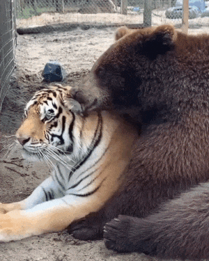 [잡담] 무지들 이모티콘 뚠뚠해서 귀여워 | 인스티즈