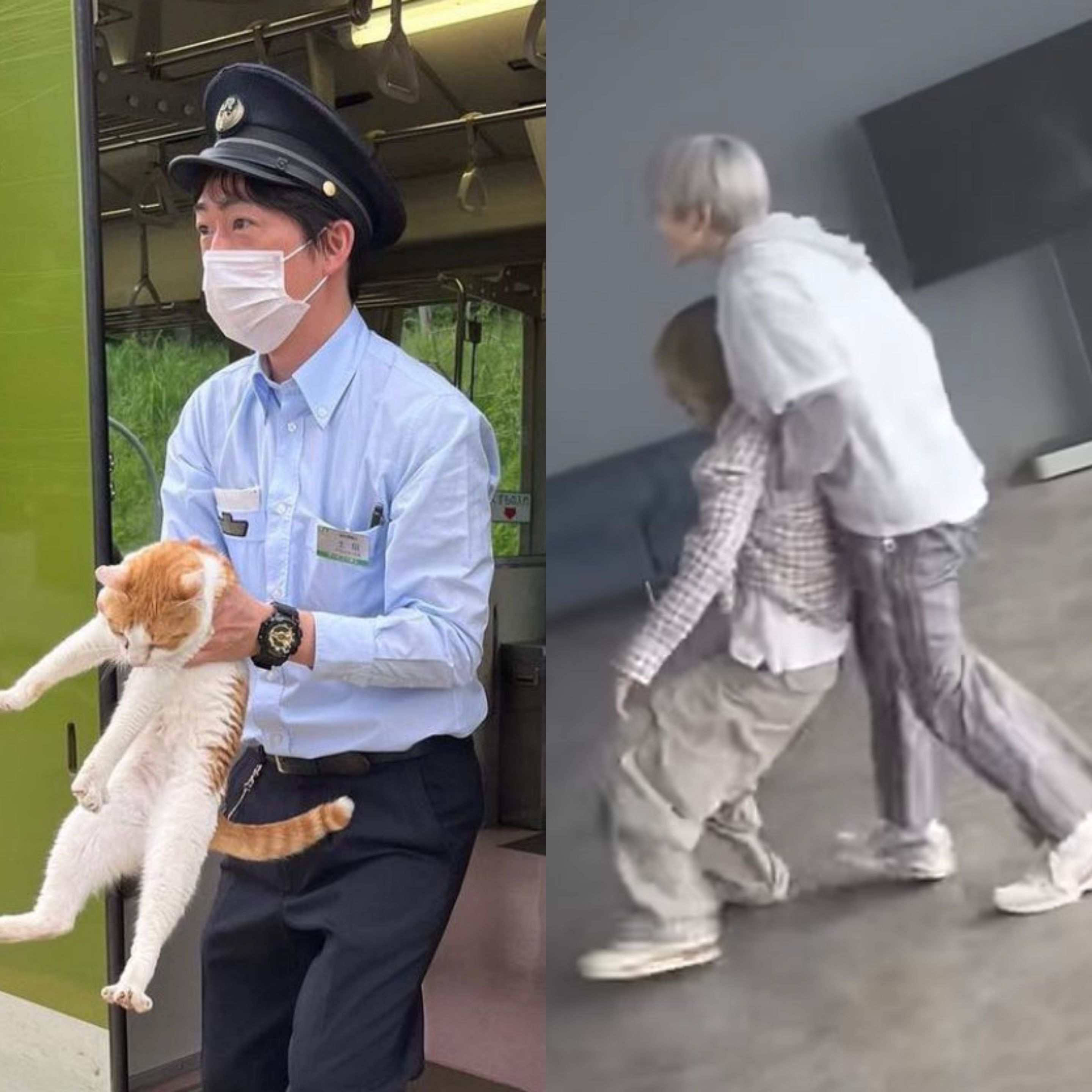 [잡담] 원빈이 쟉고 하찮은거 언제 안귀엽냐 | 인스티즈
