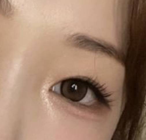 [잡담] 이거랑 비슷한 렌즈 찾아줄 사람 ㅠㅠㅠ | 인스티즈