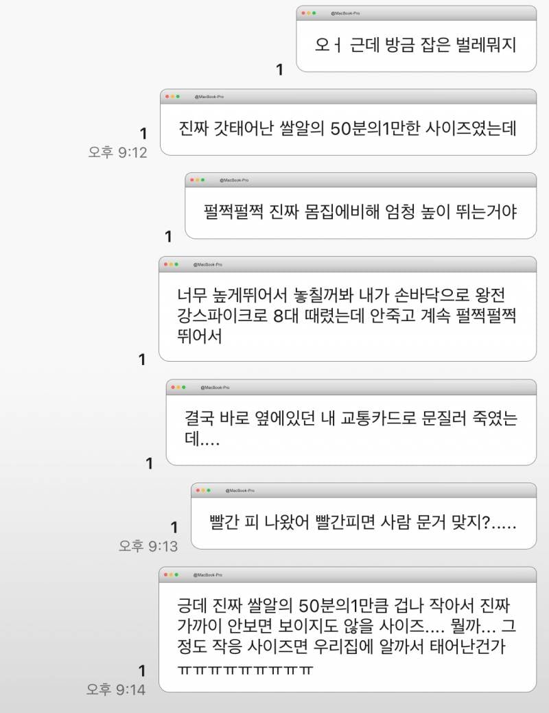 [잡담] 엄청 높게 수직으로 껑충! 껑충! 뛰는 벌레 뭐야.....? 빨간 피 나와 | 인스티즈